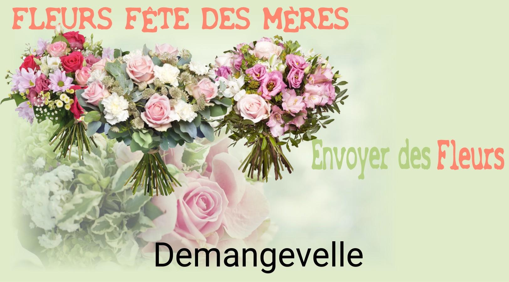 Bouquet de Fête des Mères livré à Demangevelle